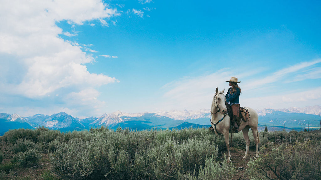 The horses will always remain.