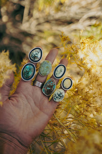 Strong Rings -- Great Basin Turquoise and Variscites