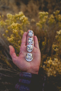 Strong Rings -- Great Basin Variscites and Turquoises