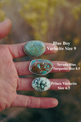 Strong Rings -- Great Basin Turquoise and Variscites