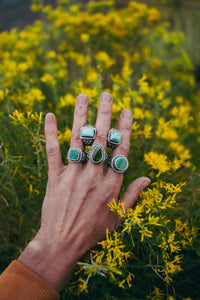 Canyon Rings -- Turquoise