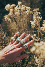 Load image into Gallery viewer, Patchwork Rings -- Variscites and Turquoises