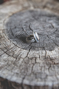 One Tree Ring