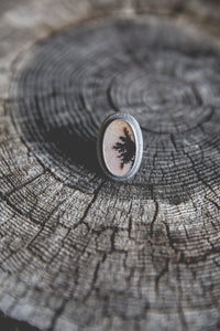 One Tree Ring
