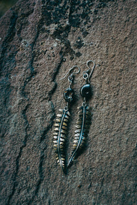 Fern Earrings -- Ammonite and Brass